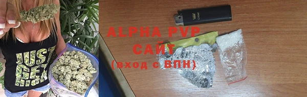 индика Алексин