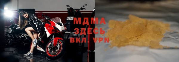 индика Алексин