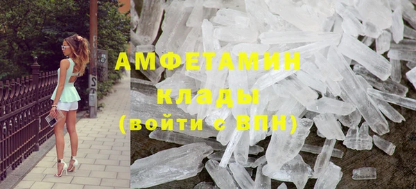 индика Алексин