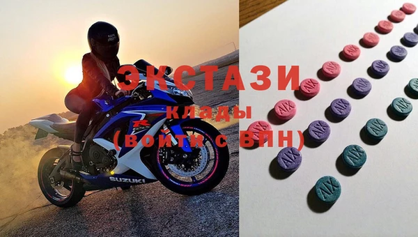 индика Алексин