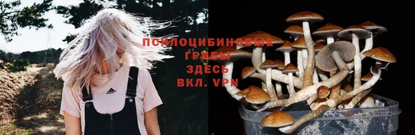 индика Алексин