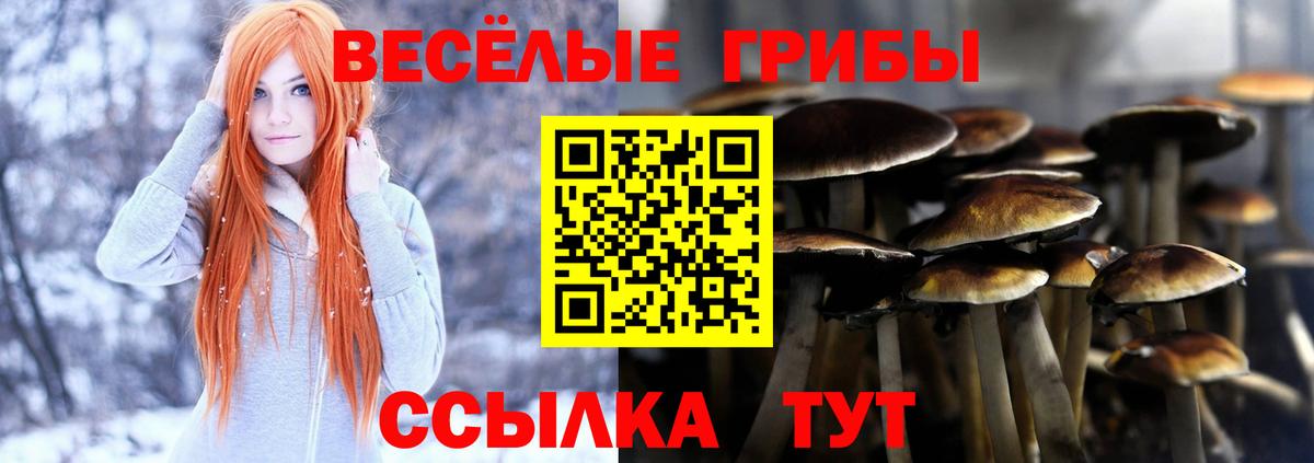 Заинск  Псилоцибиновые грибы Psilocybine cubensis  Вход с VPN  Псилоцибиновые грибы ЛСД 