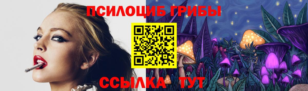 Псилоцибиновые грибы ЛСД Заинск